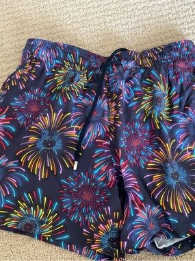 Navy Fireworks Print Swim Shorts